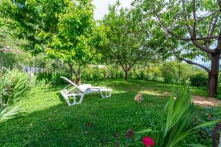 Holiday Home Garden - Zaton - 2