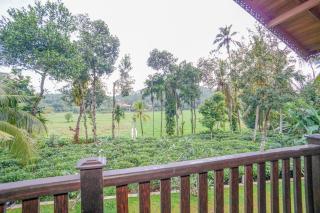 Villa Peacock - Galle - 8