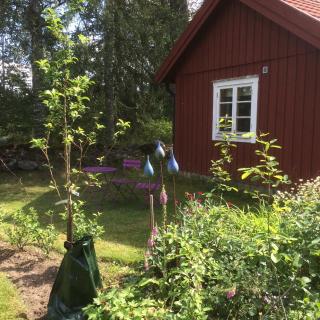 Stensholms Trädgård - Nässjö - 6