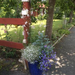 Stensholms Trädgård - 3