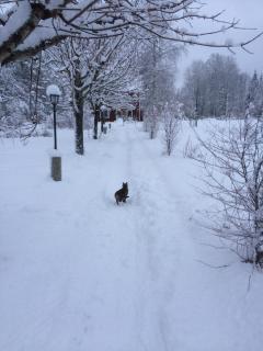 Stensholms Trädgård - Nässjö - 1