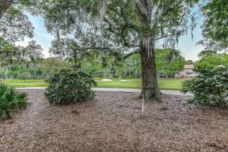 Hickory Cove 18 - Hilton Head Island - 9