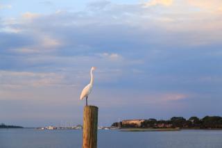 Hampton Place 6506 - Hilton Head Island - 3