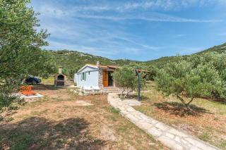 House Bellatrix - Tkon - 2