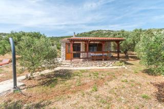 House Bellatrix - Tkon - 1