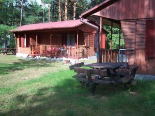 Forest Villa- domki - Susiec - 3