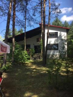 Forest Villa - Susiec - 0