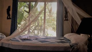 Hotel Tikal Inn - Tikal - 8