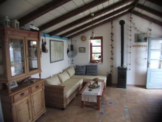 House Lemon Tree - Pašman - 6