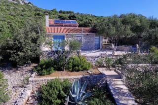 House Lemon Tree - Pašman - 0