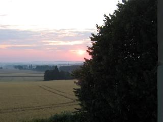 Le Fief du Verger Gazeau - Chouppes - 2