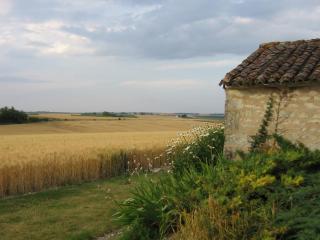 Le Fief du Verger Gazeau - Chouppes - 7