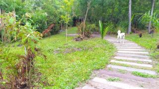 Choupana das Araucárias - Sapiranga - 6