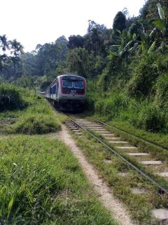 Ella Elegance View - 2