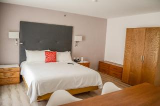 Stain Loft & Suites - Irapuato - 3