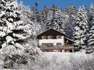 LE CHALET VOSGIEN bain nordique Kota Grill - 9