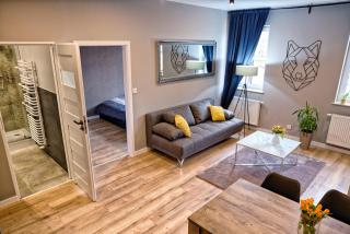 BanApart Apartments - Zgorzelec - 4