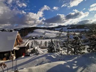 Jaworki Green Dream - Szczawnica - 5