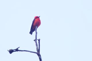 Casa rural El Encanto Guaduas - 4
