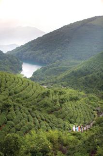 Cordis Hotels & Resorts, Dongqian Lake, Ningbo - Ningbo - 4