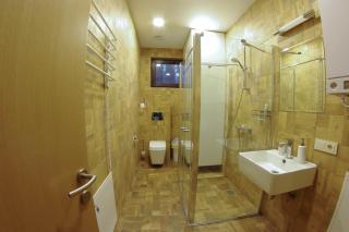 Žvėrinčiaus vila - Birštonas - 5