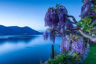 Boutique Hotel La Rocca - Ronco sopra Ascona - 8