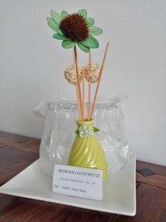 Roman Costinesti - 1