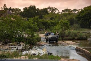 Inyati Game Lodge - Sabi Sand Game Reserve - 6