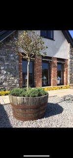 Y Bwythyn - Holywell - 8