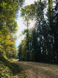 Biobauernhof Höllerbauer - Mönichwald - 4