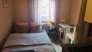 Villa Rosa Bad Camberg - 7