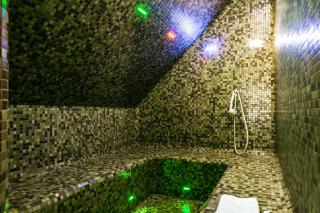 Steam Sauna Apartments - Gargždai - 9