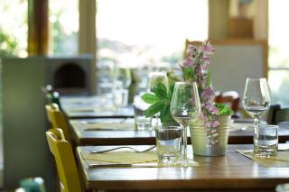 Alpaca country house - Pontedera - 7