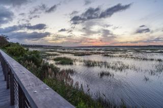 Captain's Walk 448 - Hilton Head Island - 9