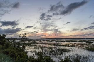 Captain's Walk 448 - Hilton Head Island - 7