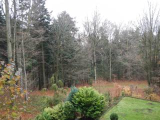 Ferienwohnung Waldoase am Fuchsenstein - 3