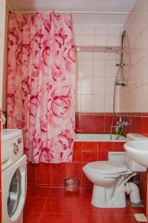 Apartment on Malaya Arnautskaya 21 - 1