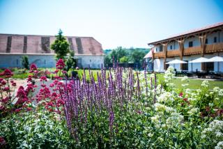 Dvůr Perlová voda - 6