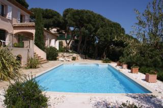 la nartelle - Sainte-Maxime - 9