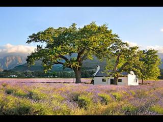 Sorbonne 1 - No loadshedding - 4