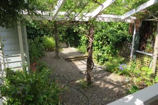 A Waterside retreat - Waikanae Beach - Waikanae - 1