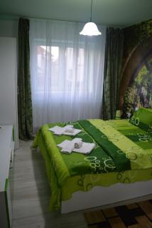 Green rooms Hunedoara - 5