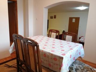 Pansion Velickovic - Niška Banja - 5