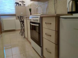 Studio Apartman Ždral - Daruvar - 4