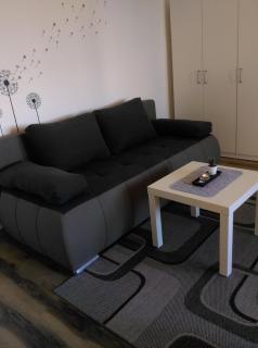 Studio Apartman Ždral - Daruvar - 2