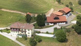 Landgasthof Hasbauer - Klein Sankt Paul - 9