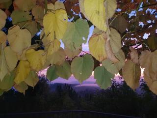 Hotel Panoramic Montepulciano - 3
