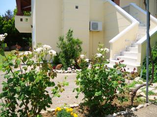 Villa Verde 200 meters from the beach - Iraklitsa - 1