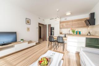 Mozart Central Apartments with garage - Prague - 0