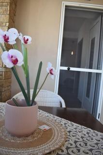 Aigli Luxury Studios - Nea Roda - 8